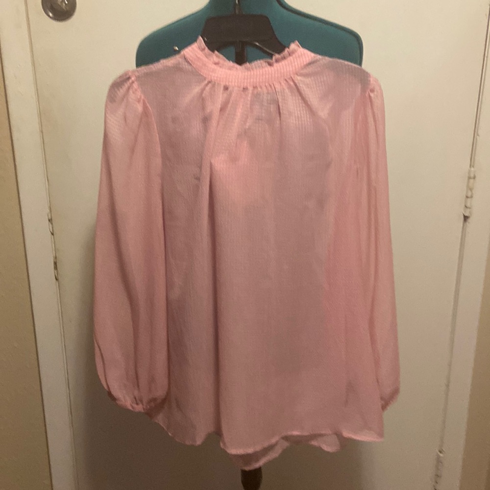 Women’s Sheer long Sleeves Blouse Pink, High neck w/gold Buttons neck closures